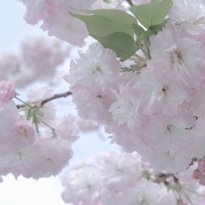 兽设质感表现实用教程兽圈社群